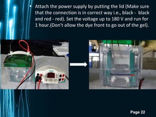 Page 22
• Attach the power supply by putting the lid (Make sure
that the connection is in correct way i.e., black - black
and red - red). Set the voltage up to 180 V and run for
1 hour.(Don't allow the dye front to go out of the gel).
 