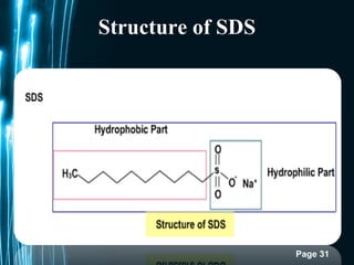 Page 31
Structure of SDS
 