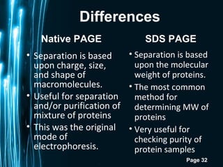 Page 32
Differences
• Separation is based
upon charge, size,
and shape of
macromolecules.
• Useful for separation
and/or purification of
mixture of proteins
• This was the original
mode of
electrophoresis.
• Separation is based
upon the molecular
weight of proteins.
• The most common
method for
determining MW of
proteins
• Very useful for
checking purity of
protein samples
Native PAGE SDS PAGE
 