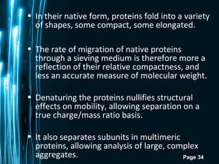 Page 34
• In their native form, proteins fold into a variety
of shapes, some compact, some elongated.
• The rate of migration of native proteins
through a sieving medium is therefore more a
reflection of their relative compactness, and
less an accurate measure of molecular weight.
• Denaturing the proteins nullifies structural
effects on mobility, allowing separation on a
true charge/mass ratio basis.
• It also separates subunits in multimeric
proteins, allowing analysis of large, complex
aggregates.
 
