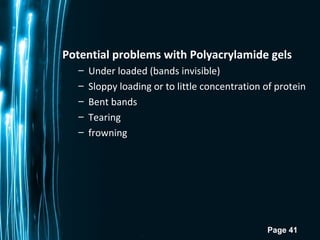 Page 41
Potential problems with Polyacrylamide gels
– Under loaded (bands invisible)
– Sloppy loading or to little concentration of protein
– Bent bands
– Tearing
– frowning
 