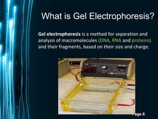 Page 6
What is Gel Electrophoresis?
Gel electrophoresis is a method for separation and
analysis of macromolecules (DNA, RNA and proteins)
and their fragments, based on their size and charge.
 