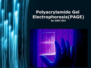 Page 1
Polyacrylamide Gel
Electrophoresis(PAGE)
by Abhi Giri
 