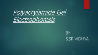 Polyacrylamide Gel
Electrophoresis
BY
S.SRIVIDHYA
 