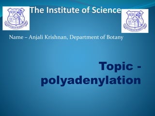 Name – Anjali Krishnan, Department of Botany
Topic -
polyadenylation
 