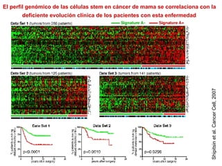 El perfil genómico de las células stem en cáncer de mama se correlaciona con la  deficiente evolución cl ínica d e los pacientes con esta enfermedad   Shipitsin et al. Cancer Cell, 2007 