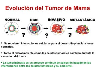 Evolución del Tumor de Mama NORMAL DCIS INVASIVO METASTÁSICO ? ? Se requieren interacciones celulares para el desarrollo y las funciones normales.  Tanto el microambiente como las células tumorales cambian durante la evolución del tumor.  La tumorigénesis es un proceso continuo de selección basado en las interacciones entre las células tumorales y su ambiente.  ? 