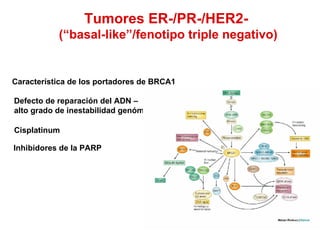 Tumores ER-/PR-/HER2-  ( “basal-like”/fenotipo triple negativo) Defecto de reparación del ADN –  alto grado de inestabilidad genómica Inhibidores de la PARP  Cisplatinum Caracter ística de los portadores de B RCA1  
