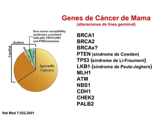 Nat Med 7:552,2001 Genes de Cáncer de Mama (alteraciones de línea germinal) BRCA1 BRCA2 BRCAx? PTEN  (síndrome de Cowden) TP53 ( síndrome de Li-Fraumeni ) LKB1 ( síndrome de Peutz-Jeghers ) MLH1 ATM NBS1 CDH1 CHEK2 PALB2 
