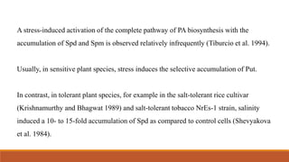 A stress-induced activation of the complete pathway of PA biosynthesis with the
accumulation of Spd and Spm is observed relatively infrequently (Tiburcio et al. 1994).
Usually, in sensitive plant species, stress induces the selective accumulation of Put.
In contrast, in tolerant plant species, for example in the salt-tolerant rice cultivar
(Krishnamurthy and Bhagwat 1989) and salt-tolerant tobacco NrEs-1 strain, salinity
induced a 10- to 15-fold accumulation of Spd as compared to control cells (Shevyakova
et al. 1984).
 