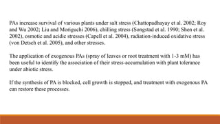 PAs increase survival of various plants under salt stress (Chattopadhayay et al. 2002; Roy
and Wu 2002; Liu and Moriguchi 2006), chilling stress (Songstad et al. 1990; Shen et al.
2002), osmotic and acidic stresses (Capell et al. 2004), radiation-induced oxidative stress
(von Detsch et al. 2005), and other stresses.
The application of exogenous PAs (spray of leaves or root treatment with 1-3 mM) has
been useful to identify the association of their stress-accumulation with plant tolerance
under abiotic stress.
If the synthesis of PA is blocked, cell growth is stopped, and treatment with exogenous PA
can restore these processes.
 
