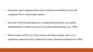 • Numerous reports appeared about stress-induced accumulation of free and
conjugated PAs in various plant species.
• Since the 1990s PA participation in oxyradical detoxification was studied
predominantly in relation to ozone (O3)-pollution (Bouchereau et al. 1999).
• When exogenous PAs were fed to tomato and tobacco plants, there was a
significant suppression of O3-induced leaf injury (Ormrod and Beckerson 1986).
 