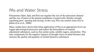 PAs and Water Stress
Polyamines (Spm, Spd, and Put) can regulate the size of the potassium channel
and the size of pores in the plasma membrane of guard cells, thereby strongly
regulating pore opening and closing. In this way, PAs can control water loss in
plants (Liu et al., 2000).
Many studies have shown that foliar application of Put at an appropriate level can
trigger physiological processes and induce the biosynthesis of osmotic
adjustment substances, such as free amino acids, soluble sugars, and proline. This
may compensate for the negative impacts of drought stress on plant biomass and
increase the quality and quantity of certain bioactive substances
 