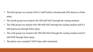 • The third group was treated with 0.2 mM Sodium nitroprusside (NO donor) as foliar
spray.
• The fourth group was treated with 100 mM NaCl through the rooting medium.
• The fifth group was treated with 100 mM NaCl through the rooting medium and 0.5
mM putrescine through foliar spray.
• The sixth group was treated with 100 mM NaCl through the rooting medium and 0.2
mM SNP through foliar spray.
• The plants were sampled 2 DAT (days after treatment).
 