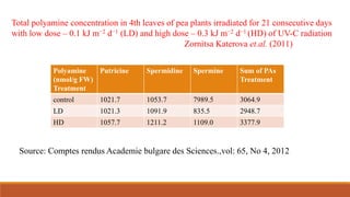 Total polyamine concentration in 4th leaves of pea plants irradiated for 21 consecutive days
with low dose – 0.1 kJ m−2 d−1 (LD) and high dose – 0.3 kJ m−2 d−1 (HD) of UV-C radiation
Zornitsa Katerova et.al. (2011)
Polyamine
(nmol/g FW)
Treatment
Putricine Spermidine Spermine Sum of PAs
Treatment
control 1021.7 1053.7 7989.5 3064.9
LD 1021.3 1091.9 835.5 2948.7
HD 1057.7 1211.2 1109.0 3377.9
Source: Comptes rendus Academie bulgare des Sciences.,vol: 65, No 4, 2012
 