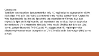 Conclusion:
Total PAs concentrations demonstrate that only HD regime led to augmentation of PAs
studied (as well as in their sum) as compared to the relative control value. Alterations
were found mainly in Spm and Spd due to the accumulation of bound PAs. PAs
(especially Spm and Spd) bound to cell membranes are involved in plant adaptation
mechanisms to UV-C treatment. Similarly to the results obtained for the older (2nd)
leaves, current data found for MDA and PAs suggest that HD regime provokes
adaptation processes under short pulses of UV-C irradiation in the younger (4th) leaves
as well.
 