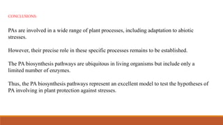 CONCLUSIONS:
PAs are involved in a wide range of plant processes, including adaptation to abiotic
stresses.
However, their precise role in these specific processes remains to be established.
The PA biosynthesis pathways are ubiquitous in living organisms but include only a
limited number of enzymes.
Thus, the PA biosynthesis pathways represent an excellent model to test the hypotheses of
PA involving in plant protection against stresses.
 