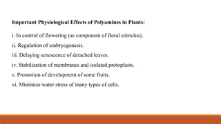 Important Physiological Effects of Polyamines in Plants:
i. In control of flowering (as component of floral stimulus).
ii. Regulation of embryogenesis.
iii. Delaying senescence of detached leaves.
iv. Stabilization of membranes and isolated protoplasts.
v. Promotion of development of some fruits.
vi. Minimize water stress of many types of cells.
 