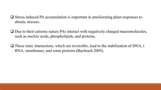  Stress-induced PA accumulation is important in ameliorating plant responses to
abiotic stresses.
 Due to their cationic nature PAs interact with negatively charged macromolecules,
such as nucleic acids, phospholipids, and proteins.
 These ionic interactions, which are reversible, lead to the stabilization of DNA, t
RNA, membranes, and some proteins (Bachrach 2005).
 