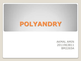 POLYANDRY
AKMAL AMIN
2011963811
BM2265A
 