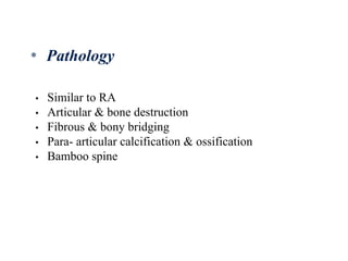 • Similar to RA
• Articular & bone destruction
• Fibrous & bony bridging
• Para- articular calcification & ossification
• Bamboo spine
* Pathology
 