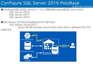 Polybase scale outgroups | PDF