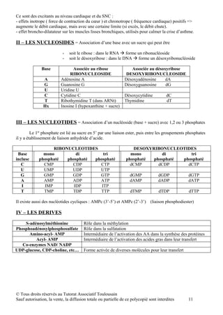 Ce sont des excitants au niveau cardiaque et du SNC :
- effets inotrope ( force de contraction du cœur ) et chronotrope ( fréquence cardiaque) positifs =>
augmente le débit cardiaque, mais avec une certaine limite (si excès, le débit chute).
- effet broncho-dilatateur sur les muscles lisses bronchiques, utilisés pour calmer la crise d’asthme.

II – LES NUCLEOSIDES = Association d’une base avec un sucre qui peut être

                           -   soit le ribose : dans le RNA  forme un ribonucléoside
                           -   soit le désoxyribose : dans le DNA  forme un désoxyribonucléoside

               Base              Associée au ribose               Associée au désoxyribose
                               RIBONUCLEOSIDE                   DESOXYRIBONUCLEOSIDE
                A         Adénosine A                          Désoxyadénosine     dA
                G         Guanosine G                          Désoxyguanosine     dG
                U         Uridine U
                C         Cytidine C                           Désoxycytidine           dC
                T         Ribothymidine T (dans ARNt)          Thymidine                dT
                Hx        Inosine I (hypoxanthine + sucre)


III – LES NUCLEOTIDES = Association d’un nucléoside (base + sucre) avec 1,2 ou 3 phosphates

         Le 1er phosphate est lié au sucre en 5’ par une liaison ester, puis entre les groupements phosphates
il y a établissement de liaison anhydride d’acide.

                   RIBONUCLEOTIDES                                 DESOXYRIBONUCLEOTIDES
 Base          mono         di        tri                         mono       di        tri
incluse      phosphaté  phosphaté phosphaté                     phosphaté phosphaté phosphaté
   C           CMP        CDP       CTP                           dCMP      dCDP      dCTP
   U           UMP        UDP       UTP
   G           GMP        GDP       GTP                           dGMP             dGDP             dGTP
   A           AMP        ADP       ATP                           dAMP             dADP             dATP
   I           IMP         IDP       ITP
   T           TMP        TDP       TTP                            dTMP            dTDP             dTTP

Il existe aussi des nucléotides cycliques : AMPc (3’-5’) et AMPc (2’-3’)       (liaison phosphodiester)

IV – LES DERIVES

    S-adénosylméthionine               Rôle dans la méthylation
Phosphoadénosylphosphosulfate          Rôle dans la sulfatation
      Amino-acyl- AMP                  Intermédiaire de l’activation des AA dans la synthèse des protéines
         Acyl- AMP                     Intermédiaire de l’activation des acides gras dans leur transfert
   Co-enzymes NAD/ NADP
UDP-glucose, CDP-choline, etc…         Forme activée de diverses molécules pour leur transfert




© Tous droits réservés au Tutorat Associatif Toulousain
Sauf autorisation, la vente, la diffusion totale ou partielle de ce polycopié sont interdites       11
 