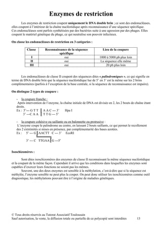 Enzymes de restriction
        Les enzymes de restriction coupent uniquement le DNA double brin ; ce sont des endonucléases,
elles coupent à l’intérieur de la chaîne nucléotidique après reconnaissance d’une séquence spécifique.
Ces endonucléases sont parfois synthétisées par des bactéries suite à une agression par des phages. Elles
coupent le matériel génétique du phage, ce qui neutralise son pouvoir infectieux.

On classe les endonucléases de restriction en 3 catégories :

            Classe         Reconnaissance de la séquence                 Lieu de la coupure
                                    spécifique
               I                       oui                             1000 à 5000 pb plus loin
              II                       oui                              La séquence elle même
              III                      oui                                  20 pb plus loin


       Les endonucléases de classe II coupent des séquences dites « palindromiques », ce qui signifie en
terme de DNA double brin que la séquence nucléotidique lue de 5’ en 3’ est la même sur les 2 brins
complémentaires (parfois à l’exception de la base centrale, si la séquence de reconnaissance est impaire).

On distingue 2 types de coupure :

   - la coupure franche :
    Après intervention de l’enzyme, la chaîne initiale de DNA est divisée en 2, les 2 bouts de chaîne étant
   droits.
   Ex : 5’--- G T T ║ A A C --- 3’      Hpa I
        3’ ---C A A ║ T T G --- 5’

   - la coupure cohésive ou saillante ou en baïonnette ou protrusive :
    L’enzyme coupe le palindrome au centre, en laissant 2 bouts saillants, ce qui permet le recollement
   des 2 extrémités si mises en présence, par complémentarité des bases azotées.
   Ex : 5’ --- G║AACTT C --- 3’ EcoRI
                  ╚═════╗
          3’ --- C TTGAA║G ---5’


Isoschizomères :

        Sont dites isoschizomères des enzymes de classe II reconnaissant la même séquence nucléotidique
et la coupant de la même façon. Cependant il arrive que les conditions dans lesquelles les enzymes sont
capables d’exercer leurs fonctions ne soient pas les mêmes.
        Souvent, une des deux enzymes est sensible à la méthylation, c’est-à-dire que si la séquence est
méthylée, l’enzyme sensible ne peut plus la couper. On peut donc utiliser les isoschizomères comme outil
diagnostique, les méthylations pouvant être à l’origine de maladies génétiques.




© Tous droits réservés au Tutorat Associatif Toulousain
Sauf autorisation, la vente, la diffusion totale ou partielle de ce polycopié sont interdites     13
 