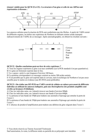 (énoncé valable pour les QCM 22 et 23) : La structure d’un gène et celle de son ARNm sont
représentées ci-dessous :
                  ATG                                                                     STOP
                            E1            E2              E3
                            E4
                      250                 50                 300                         200

                            AUG


                 5’                                                                              3’
Les amorces utilisées pour la réaction de PCR sont symbolisées par des flèches. A partir de l’ARN extrait
de différents organes, on réalise une expérience de Northern en utilisant comme sonde (marquée
radioactivement) de l’ADNc de ce messager. Après autoradiographie, on obtient les résultats suivants :


                                      1        2      3        4      5

                                                                               Cerveau
                0,9 kb                                                         Cœur
                                                                               Poumon
                                                                               Foie
                                                                               Rate



QCM 22 : Quelles conclusions peut-on tirer de cette expérience ?
A/ Tous les organes expriment ce gène à un taux semblable (car la PCR standard n’est pas quantitative).
B/ Ce gène est fortement exprimé dans le foie.
C/ La « queue » polyA a une longueur d’environ 100 bases.
D/ La protéine correspondant à ce messager contient au moins 300 acides aminés.
E/ Il est possible que le gène soit exprimé dans le cerveau, mais la technique de Northern n’est pas assez
sensible pour le mettre en évidence (une RT-PCR serait préférable).

QCM 23 : On réalise une RT-PCR sur l’ARN extrait de cellules en culture provenant de différents
individus en utilisant les amorces indiquées, puis une électrophorèse (les produits amplifiés sont
révélés au bromure d’éthidium).
A/ Chez les individus sains, on s’attend à trouver une bande d’environ 900pb.
B/ Chez les individus sains, on s’attend à trouver une bande d’environ 600pb.
C/ La présence d’une bande de 550pb peut traduire une anomalie d’épissage qui entraîne la perte de
l’exon 2.
D/ La présence d’une bande de 550pb peut traduire une anomalie d’épissage qui entraîne la perte de
l’exon 1.
E/ L’absence de produit d’amplification peut traduire une délétion du gène siégeant dans l’exon 3.




© Tous droits réservés au Tutorat Associatif Toulousain
Sauf autorisation, la vente, la diffusion totale ou partielle de ce polycopié sont interdites         133
 
