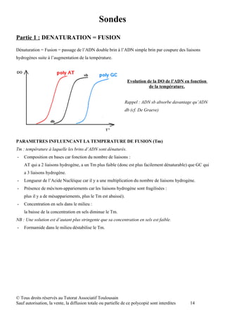 Sondes
Partie 1 : DENATURATION = FUSION
Dénaturation = Fusion = passage de l’ADN double brin à l’ADN simple brin par coupure des liaisons
hydrogènes suite à l’augmentation de la température.




                                                                Evolution de la DO de l’ADN en fonction
                                                                           de la température.


                                                               Rappel : ADN sb absorbe davantage qu’ADN
                                                               db (cf. De Graeve)




PARAMETRES INFLUENCANT LA TEMPERATURE DE FUSION (Tm)
Tm : température à laquelle les brins d’ADN sont dénaturés.
-   Composition en bases car fonction du nombre de liaisons :
    AT qui a 2 liaisons hydrogène, a un Tm plus faible (donc est plus facilement dénaturable) que GC qui
    a 3 liaisons hydrogène.
-   Longueur de l’Acide Nucléique car il y a une multiplication du nombre de liaisons hydrogène.
-   Présence de més/non-appariements car les liaisons hydrogène sont fragilisées :
    plus il y a de mésappariements, plus le Tm est abaissé).
-   Concentration en sels dans le milieu :
    la baisse de la concentration en sels diminue le Tm.
NB : Une solution est d’autant plus stringente que sa concentration en sels est faible.
-   Formamide dans le milieu déstabilise le Tm.




© Tous droits réservés au Tutorat Associatif Toulousain
Sauf autorisation, la vente, la diffusion totale ou partielle de ce polycopié sont interdites   14
 