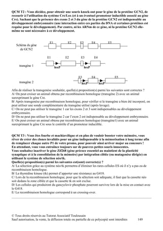 QCM T2 : Vous décidez, pour obtenir une souris knock-out pour le gène de la protéine GCN2, de
recourir à l’utilisation du système Cre/Lox (et à un éventuel promoteur inductible associé au gène
Cre). Sachant que la présence des exons 2 et 3 du gène de la protéine GCN2 est indispensable au
développement embryonnaire (une interaction entre ces parties du DNA et certaines protéines est
requise pour le développement). Par contre, ni les ARNm de ce gène, ni la protéine GCN2 elle-
même ne sont nécessaire à ce développement.


                              E1             E2        E3          E4           E5
   Schéma du gène
     de GCN2

                            E1             E2          E3           E4

      transgène 1                  loxP                     loxP


                                                     E3            E4                E5
      transgène 2                                       loxP             loxP

Afin de réaliser la transgenèse souhaitée, quelle(s) proposition(s) parmi les suivantes sont correctes ?
A/ On peut croiser un animal obtenu par recombinaison homologue (transgène 2) avec un animal
surexprimant le gène Cre.
B/ Après transgenèse par recombinaison homologue, pour vérifier si le transgène a bien été incorporé, on
peut utiliser une sonde complémentaire du transgène utilisé (après lavage).
C/ On ne peut pas utiliser le transgène 1 car les exons 2 et 3 sont indispensables au développement
embryonnaire.
D/ On ne peut pas utiliser le transgène 2 car l’exon 2 est indispensable au développement embryonnaire.
E/ On peut croiser un animal obtenu par recombinaison homologue (transgène1) avec un animal
surexprimant le gène Cre sous le contrôle d’un promoteur inductible.


QCM T3 : Vous êtes fourbe et machiavélique et en plus de vouloir booster votre mémoire, vous
rêver de créer des clones invalidés pour un gène indispensable à la mémorisation à long terme afin
de remplacer chaque autre P1 de votre promo, pour pouvoir ainsi arriver major au concours !
En attendant, vous vous entraînez toujours sur de pauvres petites souris innocentes.
Vous souhaitez inactiver le gène Zif268 (gène précoce essentiel au maintient de la plasticité
synaptique et à la consolidation de la mémoire) par intégration ciblée (ou mutagenèse dirigée) en
utilisant le système de sélection néo/tk.
Quelle(s) proposition(s) parmi les suivantes est(sont) correcte(s) ?
A/ La sélection grâce au système néo/tk permettra d’éliminer les rares cellules ES où il n’y a pas eu de
recombinaison homologue.
B/ La thymidine kinase (tk) permet d’apporter une résistance au G418.
C/ Lors de la recombinaison homologue, pour que la sélection soit adéquate, il faut que la cassette néo
soit dedans la zone ciblée et que la cassette tk en soit exclue.
D/ Les cellules qui produiront du gancyclovir phosphate pourront survivre lors de la mise en contact avec
le G418.
E/ La recombinaison homologue correspond à un crossing-over.




© Tous droits réservés au Tutorat Associatif Toulousain
Sauf autorisation, la vente, la diffusion totale ou partielle de ce polycopié sont interdites   149
 
