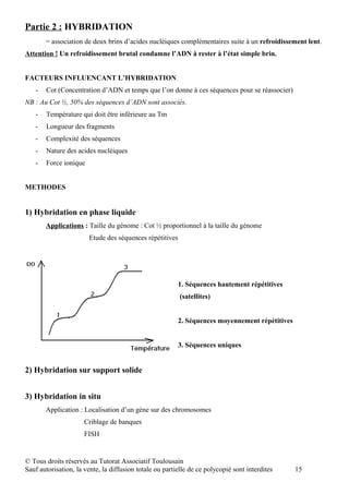 Partie 2 : HYBRIDATION
       = association de deux brins d’acides nucléiques complémentaires suite à un refroidissement lent.
Attention ! Un refroidissement brutal condamne l’ADN à rester à l’état simple brin.


FACTEURS INFLUENCANT L’HYBRIDATION
   -   Cot (Concentration d’ADN et temps que l’on donne à ces séquences pour se réassocier)
NB : Au Cot ½, 50% des séquences d’ADN sont associés.
   -   Température qui doit être inférieure au Tm
   -   Longueur des fragments
   -   Complexité des séquences
   -   Nature des acides nucléiques
   -   Force ionique


METHODES


1) Hybridation en phase liquide
       Applications : Taille du génome : Cot ½ proportionnel à la taille du génome
                        Etude des séquences répétitives




                                                          1. Séquences hautement répétitives
                                                          (satellites)


                                                          2. Séquences moyennement répétitives


                                                          3. Séquences uniques


2) Hybridation sur support solide


3) Hybridation in situ
       Application : Localisation d’un gène sur des chromosomes
                      Criblage de banques
                      FISH


© Tous droits réservés au Tutorat Associatif Toulousain
Sauf autorisation, la vente, la diffusion totale ou partielle de ce polycopié sont interdites    15
 