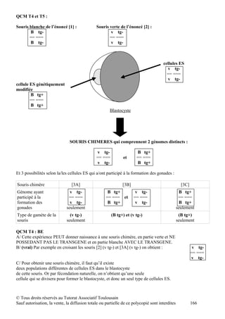 QCM T4 et T5 :

Souris blanche de l’énoncé [1] :              Souris verte de l’énoncé [2] :
       B tg-                                         v tg-
       == ===                                        == ===
       B tg-                                         v tg-



                                                                                     cellules ES
                                                                                       v tg-
                                                                                       == ===
                                                                                       v tg-
cellule ES génétiquement
modifiée
        B tg+
        == ===
        B tg+
                                                      Blastocyste




                               SOURIS CHIMERES qui comprennent 2 génomes distincts :

                                              v tg-                   B tg+
                                              == ===          et      == ===
                                              v tg-                   B tg+

Et 3 possibilités selon la/les cellules ES qui a/ont participé à la formation des gonades :

Souris chimère                  [3A]                          [3B]                                [3C]
Génome ayant                   v tg-                 B tg+            v tg-                       B tg+
participé à la                == ===                == === et        == ===                      == ===
formation des                  v tg-                 B tg+            v tg-                       B tg+
gonades                      seulement                                                          seulement
Type de gamète de la           (v tg-)                 (B tg+) et (v tg-)                        (B tg+)
souris                       seulement                                                          seulement

QCM T4 : BE
A/ Cette expérience PEUT donner naissance à une souris chimère, en partie verte et NE
POSSEDANT PAS LE TRANSGENE et en partie blanche AVEC LE TRANSGENE.
B/ (vrai) Par exemple en croisant les souris [2] (v tg-) et [3A] (v tg-) on obtient :                     v tg-
                                                                                                         == ===
                                                                                                         v tg-
C/ Pour obtenir une souris chimère, il faut qu’il existe
deux populations différentes de cellules ES dans le blastocyste
de cette souris. Or par fécondation naturelle, on n’obtient qu’une seule
cellule qui se divisera pour former le blastocyste, et donc un seul type de cellules ES.



© Tous droits réservés au Tutorat Associatif Toulousain
Sauf autorisation, la vente, la diffusion totale ou partielle de ce polycopié sont interdites            166
 