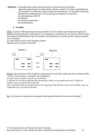 - Détection : - de pseudo-gènes (gènes non fonctionnels car non transcrits) et de gènes
               apparentés (appartenant à la même famille, Hb par exemple), à la même superfamille (Ig
               par exemple) ou à différentes espèces (séquences homologues) : les séquences n’étant pas
               parfaitement complémentaire il ne faut pas que la stringence soit trop forte.
             - de polymorphismes (RFLP)
             - de délétions
             - de mutations ponctuelles
             - de recombinaisons

       1. Exemples

QCM : À partir d’ADN génomique de deux individus A et B on analyse par Southern un fragment de
600pb d’un gène porté par le chromosome X. Ce fragment ne contient qu’un seul site de restriction Apa I
(insensible à la méthylation) et Hae III (sensible à la méthylation, c'est-à-dire qu’elle n’agit pas quand le
site est méthylé).
La sonde utilisée couvre tout le fragment du gène.
Digestion par les enzymes. Résultats :


                 Individu A                                   Individu B
       Apa I     -      +      -                Apa I     -      +         -
       HaeIII   -       -      +                HaeIII   -       -         +
                                       600 pb




                                       400pb


                                       200pb




Rappel : chez un homme (XY) les gènes du chromosome X sont actifs, tandis que chez une femme (XX)
l’un des 2 X est inactivé « au hasard » par méthylation.
Ce que l’on peut conclure à partir de ces résultats :
L’individu A a un allèle coupé par Hae III mais pas l’autre, ce qui signifie qu’un des 2 allèles est
méthylé. Cela correspond à un profil XX.
Chez l’individu B tous les chromosomes X sont coupés par Hae III, donc aucun n’est méthylé, ce qui est
compatible avec le profil d’un homme.



Rq : Une absence de signal peut correspondre à une grande délétion ou à une erreur technique !




© Tous droits réservés au Tutorat Associatif Toulousain
Sauf autorisation, la vente, la diffusion totale ou partielle de ce polycopié sont interdites      22
 
