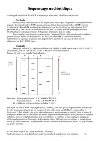 Séquençage nucléotidique
Aussi appelé méthode de SANGER, le séquençage utilise des 2’-3’didésoxynucléotides.

            Méthode
        Pour séquencer une séquence d’ADN on place une amorce puis on synthétise son complémentaire
avec des désoxynucléotides (dNTP), et une petite quantité de didésoxynucléotides (ddNTP) (rapport
1/100 environ). Les ddNTP seront utilisés aléatoirement par la polymérase qui va les fixer au dNTP
précédent par le 3’OH. Ce 3’OH étant absent sur les ddNTP, leur fixation va interrompre la chaîne.
On obtient ainsi toute une population de fragments interrompus à divers stades.
        Pour visualiser les fragments on peut marquer l’amorce (d’abord radiomarquées puis remplacées
par des amorces portant des fluorophores), les dNTP ou les ddNTP. Actuellement on utilise
l’électrophorèse capillaire (migration dans de petits tubes capillaires). Le risque d’erreur lors du
séquençage est de 1/100 000 bases.

            Exemple
        Marquage radioactif => Expérience divisée en 4 : ddATP + dNTP dans le tube 1, ddTTP + dNTP
dans le tube 2, ddCTP + dNTP dans le tube 3, ddGTP + dNTP dans le tube 4
Puis on fait migrer sur un gel d’électrophorèse :
                     A           T        C       G
           -                                                 3’

 Sens de
 migratio
 n



                                                                        du brin
                                                                        néosynthétisé




            +
                                                                   5’

On a donc : Brin complémentaire : 5’ ATACGTACTGTA 3’
            Séquence initiale :   3’ TATGCATGACAT 5’
       La synthèse du brin néosynthétisé se fait de 5’ en 3’.

Sur le gel, les brins d’ADN les plus proches de l’anode (-) sont ceux qui ont migré le moins, ce sont donc
les plus grands, ce sont ceux qui ont incorporé le plus tardivement un ddNTP, ils correspondent à
l’extrémité 3’. Les brins les plus petits migrent beacoup et sont proches de la cathode. Ainsi la lecture de
la séquence se fait dans le sens inverse du sens de migration électrophorétique. Pour connaître la séquence
initiale on prend le complémentaire du brin néosynthétisé. Si on utilise la fluorescence on marque les
différentes bases avec un fluorophore différent dans 4 tubes différents puis on mélange et on fait migrer
sur un gel d’électrophorèse : on obtient alors une succession de pics fluorescents (sens 5’-3’ généralement
de gauche à droite).


© Tous droits réservés au Tutorat Associatif Toulousain
Sauf autorisation, la vente, la diffusion totale ou partielle de ce polycopié sont interdites    23
 