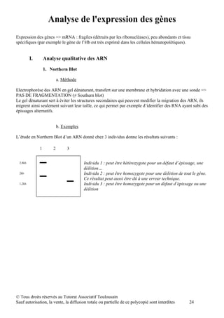 Analyse de l'expression des gènes
Expression des gènes => mRNA : fragiles (détruits par les ribonucléases), peu abondants et tissu
spécifiques (par exemple le gène de l’Hb est très exprimé dans les cellules hématopoïétiques).


         I.       Analyse qualitative des ARN

                  1. Northern Blot

                          a. Méthode

Electrophorèse des ARN en gel dénaturant, transfert sur une membrane et hybridation avec une sonde =>
PAS DE FRAGMENTATION (≠ Southern blot)
Le gel dénaturant sert à éviter les structures secondaires qui peuvent modifier la migration des ARN, ils
migrent ainsi seulement suivant leur taille, ce qui permet par exemple d’identifier des RNA ayant subi des
épissages alternatifs.


                          b. Exemples

L’étude en Northern Blot d’un ARN donné chez 3 individus donne les résultats suivants :

              1       2        3


 2,8kb                                  Individu 1 : peut être hétérozygote pour un défaut d’épissage, une
                                        délétion…
 2kb                                    Individu 2 : peut être homozygote pour une délétion de tout le gène.
                                        Ce résultat peut aussi être dû à une erreur technique.
 1,2kb                                  Individu 3 : peut être homozygote pour un défaut d’épissage ou une
                                        délétion




© Tous droits réservés au Tutorat Associatif Toulousain
Sauf autorisation, la vente, la diffusion totale ou partielle de ce polycopié sont interdites     24
 