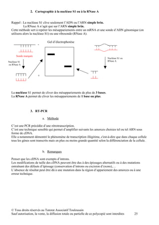 2. Cartographie à la nucléase S1 ou à la RNase A


  Rappel : La nucléase S1 clive seulement l’ADN ou l’ARN simple brin.
             La RNase A n’agit que sur l’ARN simple brin.
  Cette méthode sert à repérer les mésappariements entre un mRNA et une sonde d’ADN génomique (on
  utilisera alors la nucléase S1) ou une ribosonde (RNase A).

                               Gel d’électrophorèse
                       -


       Sonde marquée
                                                                                 Nucléase S1 ou
Nucléase S1                                                                      RNase A
ou RNase A



                       +




  La nucléase S1 permet de cliver des mésappariements de plus de 3 bases.
  La RNase A permet de cliver les mésappariements de 1 base ou plus.



                  3. RT-PCR

                           a. Méthode

  C’est une PCR précédée d’une rétrotranscription.
  C’est une technique sensible qui permet d’amplifier suivants les amorces choisies tel ou tel ARN sous
  forme de cDNA.
  Elle a notamment démontré le phénomène de transcription illégitime, c'est-à-dire que dans chaque cellule
  tous les gènes sont transcrits mais en plus ou moins grande quantité selon la différenciation de la cellule.


                           b. Remarques

  Penser que les cDNA sont exempts d’introns.
  Les modifications de taille des cDNA peuvent être dus à des épissages alternatifs ou à des mutations
  entraînant des défauts d’épissage (conservation d’introns ou excision d’exons),…
  L’absence de résultat peut être dû à une mutation dans la région d’appariement des amorces ou à une
  erreur technique.




  © Tous droits réservés au Tutorat Associatif Toulousain
  Sauf autorisation, la vente, la diffusion totale ou partielle de ce polycopié sont interdites     25
 
