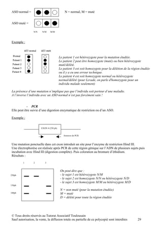 ASO normal =                                 N = normal, M = muté


ASO muté =

                 N/N    N/M    M/M



Exemple :



                                         Le patient 1 est hétérozygote pour la mutation étudiée.
                                         Le patient 2 peut être homozygote (muté) ou bien hétérozygote
                                         muté/délété.
                                         Le patient 3 est soit homozygote pour la délétion de la région étudiée
                                         ou il y a eu une erreur technique.
                                         Le patient 4 est soit homozygote normal ou hétérozygote
                                         normal/délété (pour Levade, on parle d'homozygote pour un
                                         individu malade seulement)

La présence d’une mutation n’implique pas que l’individu soit porteur d’une maladie.
A l’inverse l’individu avec un ASO normal n’est pas forcément sain !


            - PCR
Elle peut être suivie d’une digestion enzymatique de restriction ou d’un ASO.

Exemple :


                       EXON 4 (250 pb)


                                            Amorces de PCR



Une mutation ponctuelle dans cet exon introduit un site pour l’enzyme de restriction Hind III.
Une électrophorèse est réalisée après PCR de cette région génique sur l’ADN de plusieurs sujets puis
incubation avec Hind III (digestion complète). Puis coloration au bromure d’éthidium.
Résultats :

         1       2        3


                                          On peut dire que :
250pb                                     - le sujet 1 est hétérozygote N/M
                                          - le sujet 2 est homozygote N/N ou hétérozygote N/D
                                          - le sujet 3 est homozygote M/M ou hétérozygote M/D
150pb

                                          N = non muté (pour la mutation étudiée)
100pb                                     M = muté
                                          D = délété pour toute la région étudiée




© Tous droits réservés au Tutorat Associatif Toulousain
Sauf autorisation, la vente, la diffusion totale ou partielle de ce polycopié sont interdites        29
 