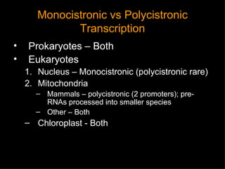 Monocistronic vs Polycistronic Transcription Prokaryotes – Both  Eukaryotes Nucleus – Monocistronic (polycistronic rare) Mitochondria Mammals – polycistronic (2 promoters); pre-RNAs processed into smaller species Other – Both Chloroplast - Both 