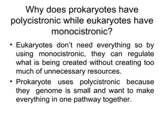 Why does prokaryotes have polycistronic while eukaryotes have monocistronic? Eukaryotes don’t need everything so by using monocistronic, they can regulate what is being created without creating too much of unnecessary resources. Prokaryote uses polycistronic because they  genome is small and want to make everything in one pathway together. 