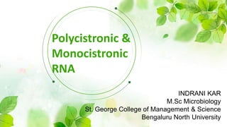Polycistronic &
Monocistronic
RNA
INDRANI KAR
M.Sc Microbiology
St. George College of Management & Science
Bengaluru North University
 