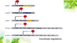 Coordinate regulations
 