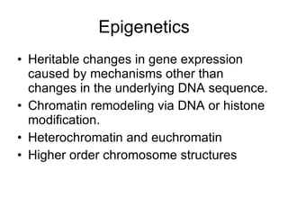 Polycomb Response Elements | PPT