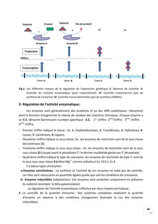 39
Fig.1: Les différents niveaux de la régulation de l'expression génétique [I: Absence de contrôle, II:
Contrôle de l'act...