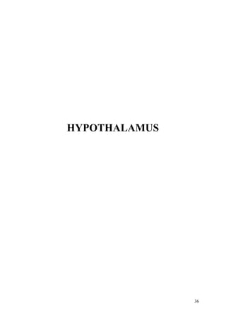 36
HYPOTHALAMUS
 