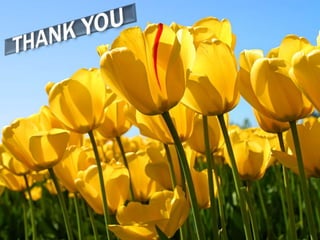 Polycystic kidney disease (PCKD)