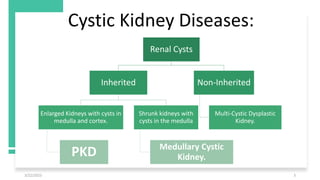 Polycystic Kidney Disease final.pptx