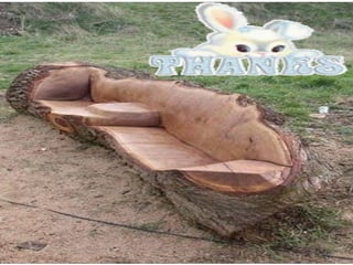 Polycystic kidney disease for students