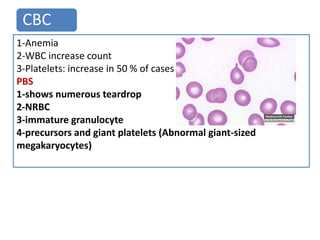 CBC
1-Anemia
2-WBC increase count
3-Platelets: increase in 50 % of cases
PBS
1-shows numerous teardrop
2-NRBC
3-immature granulocyte
4-precursors and giant platelets (Abnormal giant-sized
megakaryocytes)
 