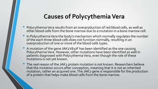 Causes of PolycythemiaVera
• PolycythemiaVera results from an overproduction of red blood cells, as well as
other blood cells from the bone marrow due to a mutation in a bone marrow cell.
• In PolycythemiaVera the body’s mechanism which normally regulates the number
of the each three blood cells does not function normally, resulting in an
overproduction of one or more of the blood cells types.
• A mutation of the gene JAK2V617F has been identified as the one causing
PolycythemiaVera. However, other mutations have been identified as well in
patients diagnosed with PolycythemiaVera, even though the role of these
mutations is not yet known.
• The real reason of the JAK2 protein mutation is not known. Researchers believe
that the mutation occurs after conception, meaning that it is not an inherited
mutation, rather an acquired one.The JAK2 gene is responsible for the production
of a protein that helps make blood cells from the bone marrow.
 